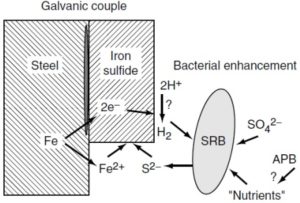 باکتری های سولفات خوار (Sulfate Reducing Bacteria)، خوردگی بیولوژیک
