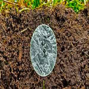 ضدعفونی خاک و عوامل بیماری زای آن