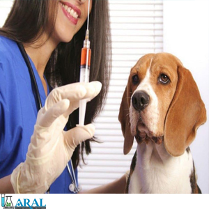 داروها و واکسن های حیوانات خانگی 
