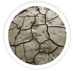 آشنایی با انواع خاک: خاک رسی