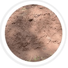 انواع خاک: خاک سیلت