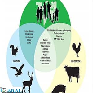 بیماری های انسان زئونوز که به گونه های جانوری دیگر منتقل می شوند