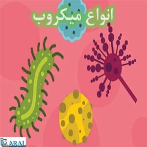 انواع میکروب و پاتوژن های عوامل بیماری زا