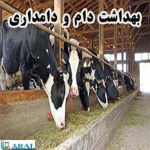 بهداشت دام و دامداری Livestock health