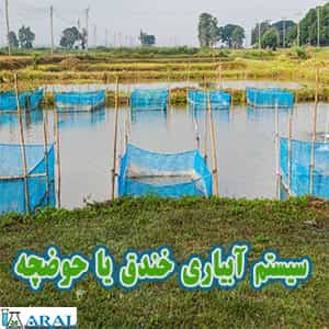پرورش ماهی با سیستم آبیاری خندق یا حوضچه