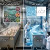 آلودگی میکروبی آب اسکالدر و لزوم نظافت چیلر و ضدعفونی چیلر