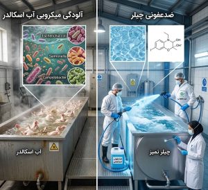 آلودگی میکروبی آب اسکالدر و لزوم نظافت چیلر و ضدعفونی چیلر
