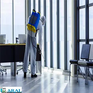 گندزدایی و ضدعفونی فرودگاه، گندزدایی فرودگاه