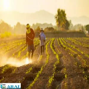 ضدعفونی خاک