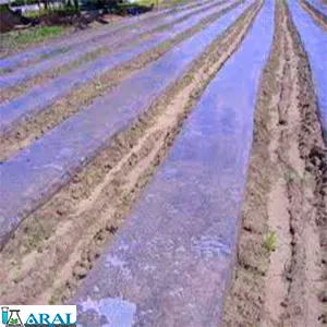 آفتابدهی برای ضدعفونی کردن خاک