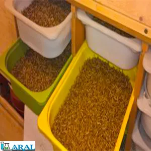 ابزار پرورش میلورم در خانه، ظرف پلاستیکی برای پرورش کرم میل ورم