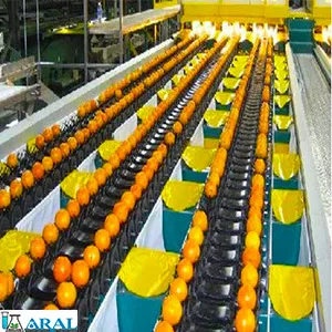 ضدعفونی سورتینگ مرکبات