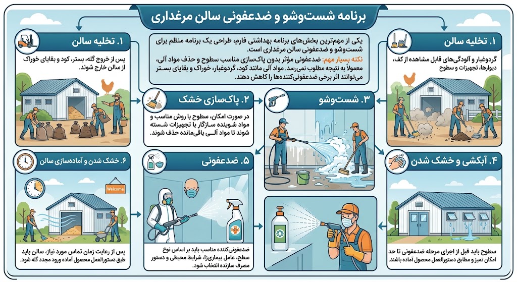 مراحل ضدعفونی سالن مرغ ارگانیک