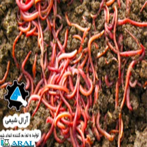 کمپوست