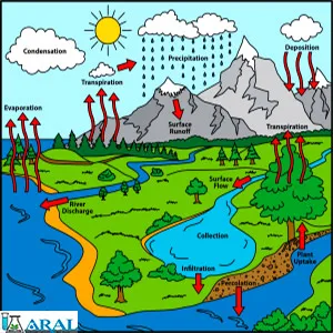 چرخه آب و لزوم صرفه جویی آب