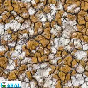 علائم شوری خاک