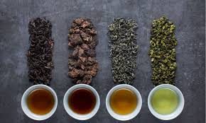 انواع چای، فرآوری چای