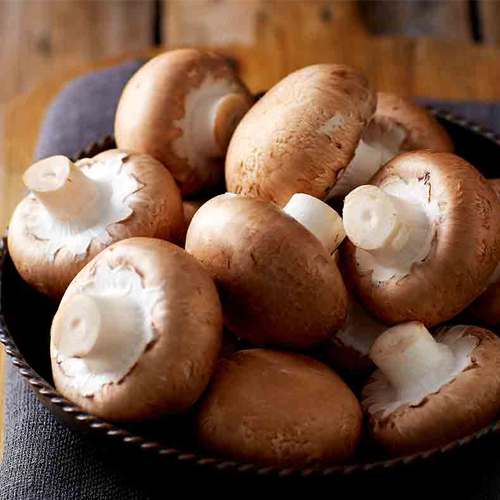 پرورش قارچ دکمه ای قهوه ای