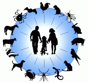 بیماری های زئونوز