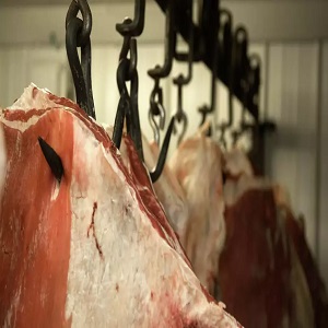 شستشوی کارخانجات مواد غذایی و کشتارگاه ها