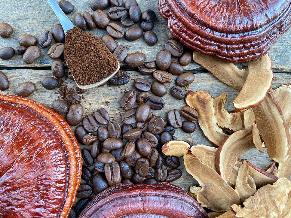 قهوه گانودرما