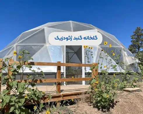 گلخانه گنبدی زئوزدیک