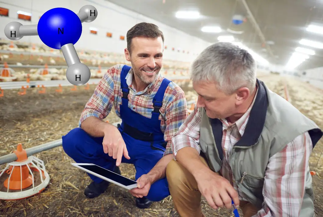 روش های تشخیص آمونیاک در سالن های مرغداری