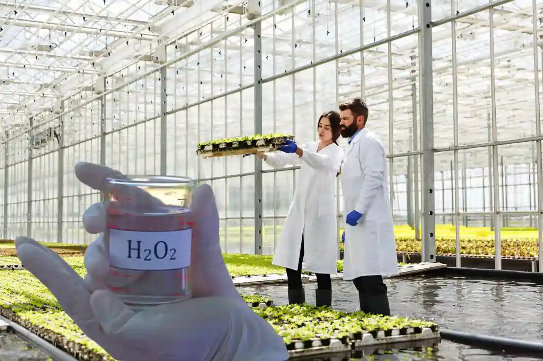 تکنیک هیدروپونیک یا کشت بدون خاکورزی