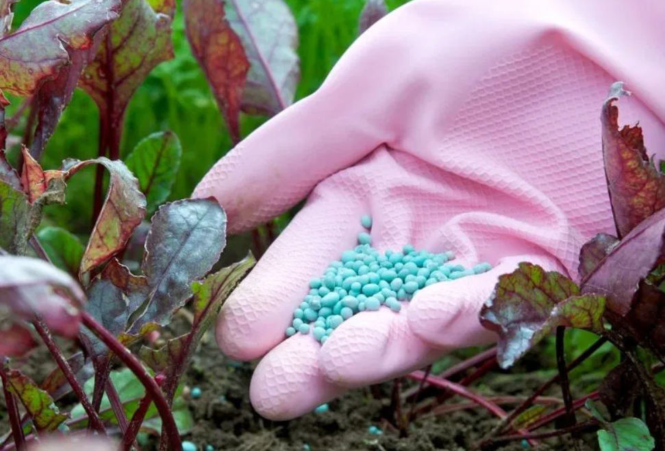 کاربرد آمونیاک در کشاورزی