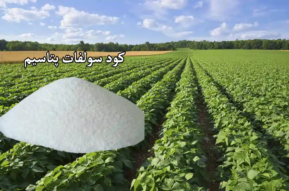 استفاده از کود سولوپتاس (سولفات پتاسیم) در کشاورزی