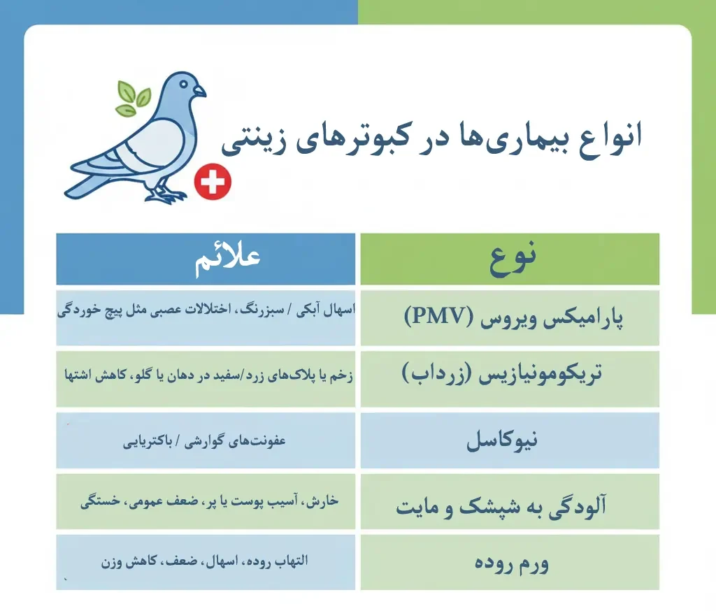 انواع بیماری در کبوترهای زینتی