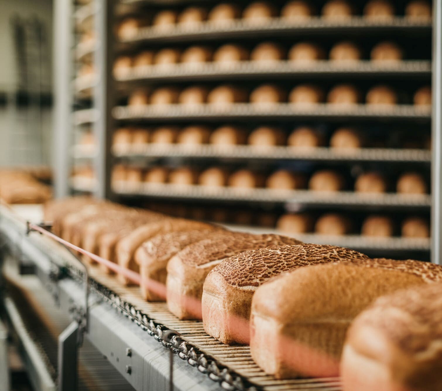 پایش مداوم خط تولید برای پیشگیری از آلرژن غذایی