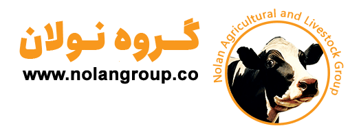 گروه نولان