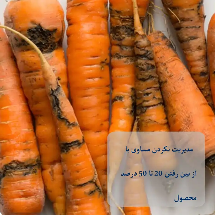 لزوم کنترل آفات و بیماری های هویج