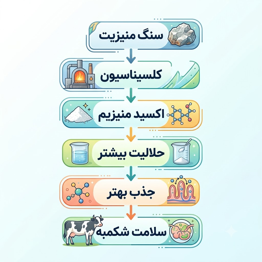 حلالیت اکسید منیزیم در خوراک دام