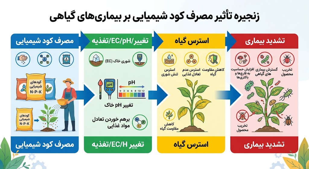 زنجیره تاثیر مصرف کود شیمیایی بر بیماری های گیاهی